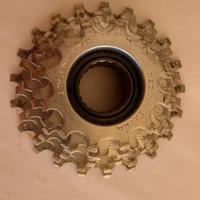 Rocchetto regina 7 velocità