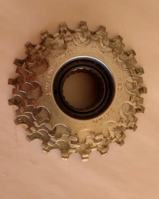 Rocchetto regina 7 velocità