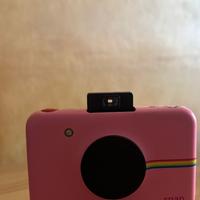 Polaroid snap
