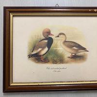 Quadro