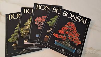 Collezione rivista Bonsai e News