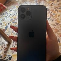 iphone 12+ iPhone 12 pro max