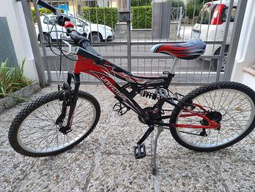 Bicicletta bimbo/ragazzo ruota 24''