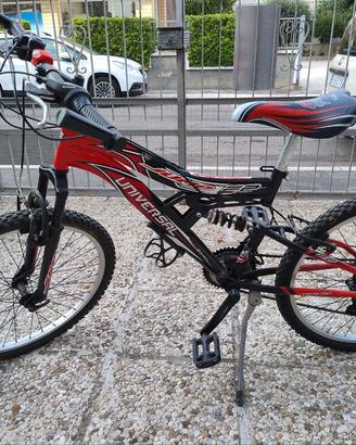 Bicicletta bimbo/ragazzo ruota 24''