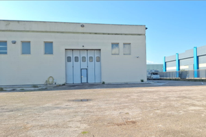 CAPANNONE INDUSTRIALE - 600 mq