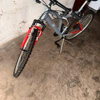 Mountain bike Audi Sailing Q8
