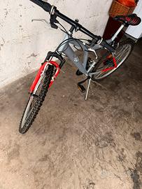 Mountain bike Audi Sailing Q8