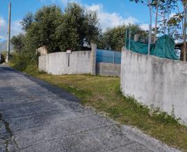 Terreno guidonia