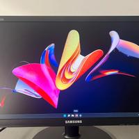 Monitor Samsung 22 pollici