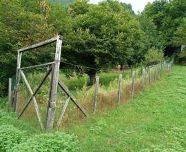 Terreno agricolo ad apicoltori