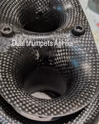 Aprilia RSV 1000  aspirazione Duale