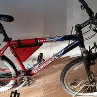 Mountain bike Diamondback Vectra sport