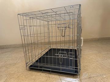 Kennel