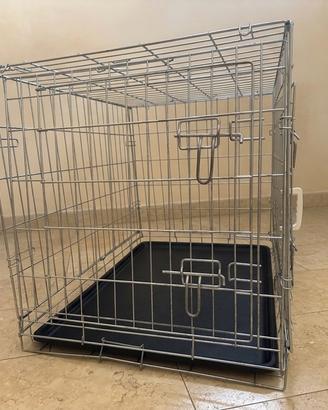 Kennel