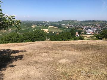 Trincia 2,20 metri