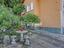 Immagine 21