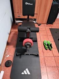 leg extension