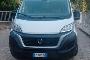 Benivar 120 up