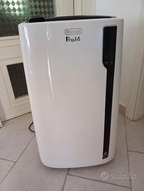 Condizione portatile  Pinguì  No spedizione 