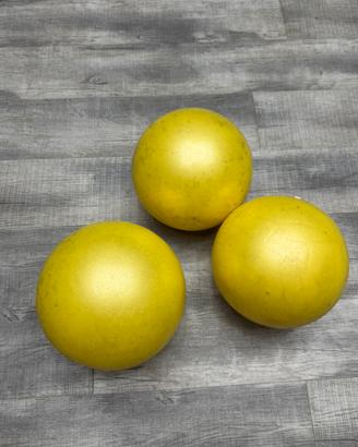 Fit Ball