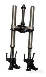 Forcelle tmax 530 complete di pinze