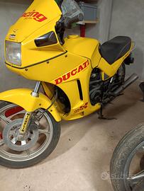ducati 350