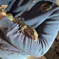 Tegu argentino