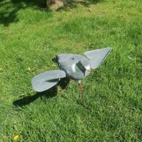 Zimbello colombaccio con ali rotanti  senza fili