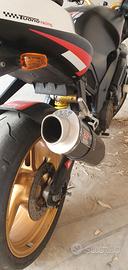 terminale Yoshimura Rsv Tuono