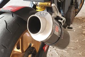 terminale Yoshimura Rsv Tuono