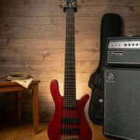 Warwick Streamer Stage I Bolt-On 6 corde (02/1997)