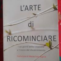 L'ARTE DI RICOMINCIARE - FABIO ROSINI