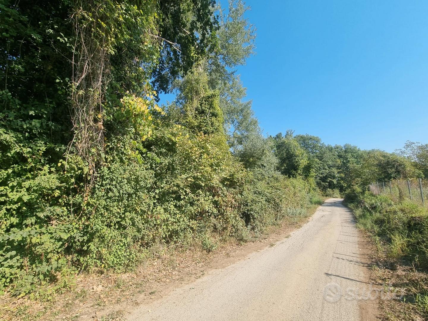 Terreno agricolo di mq. 11.143 semi pianeggiante - Altro