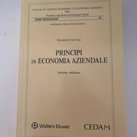 Libro economia aziendale