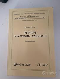 Libro economia aziendale