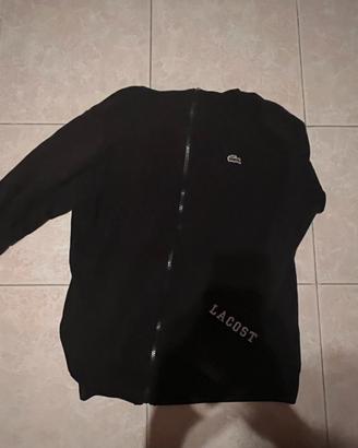 felpa lacoste