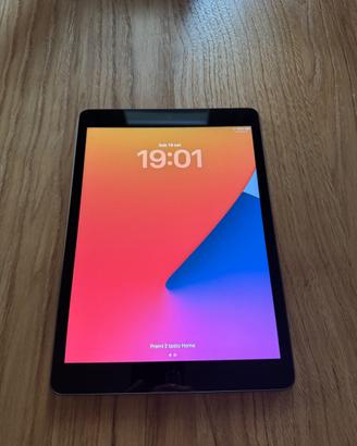 iPad 9ª Generazione 64GB Wi-Fi Gray + Custodia
