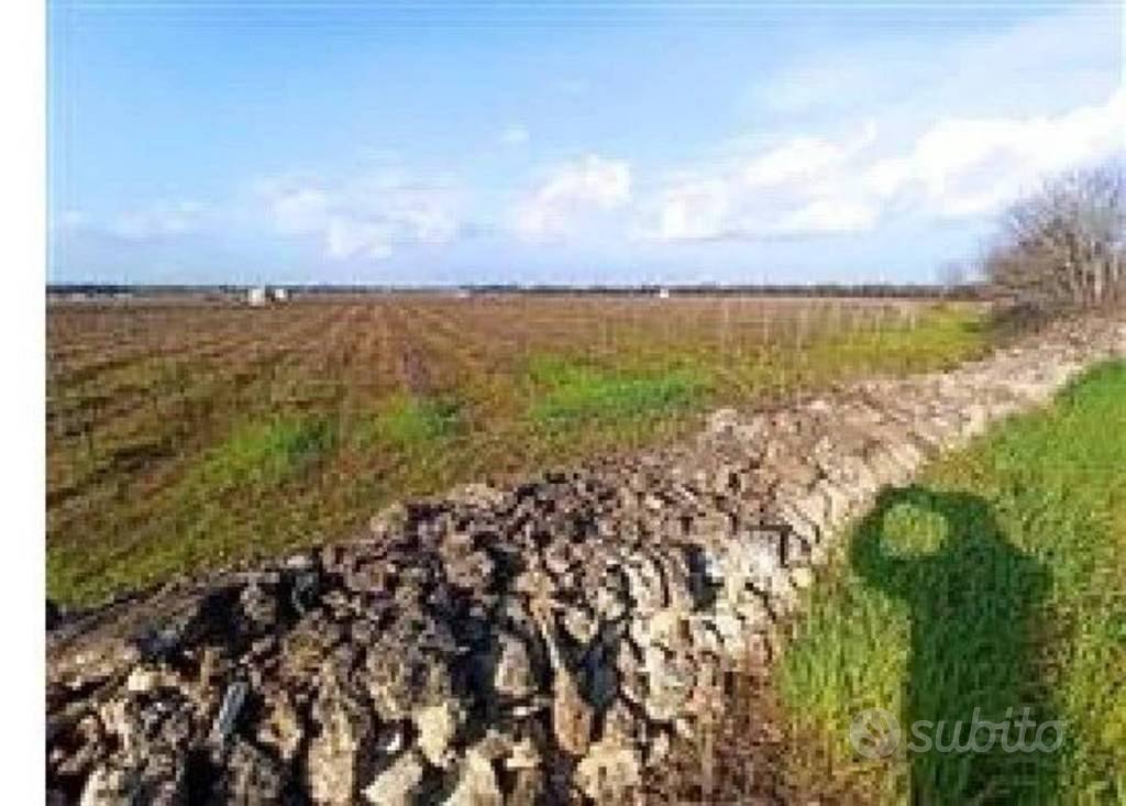 Immobile in asta di 155604 m² a Francavilla Fontan - Altro