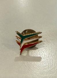 Spilla Tricolore Aeronautica Militare