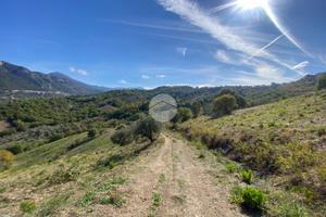 TER. AGRICOLO A GIUNGANO