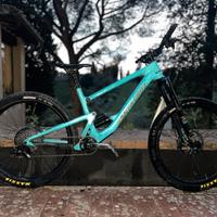 Santa cruz Bronson C