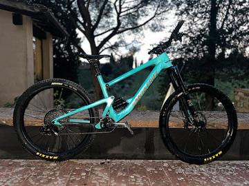 Santa cruz Bronson C