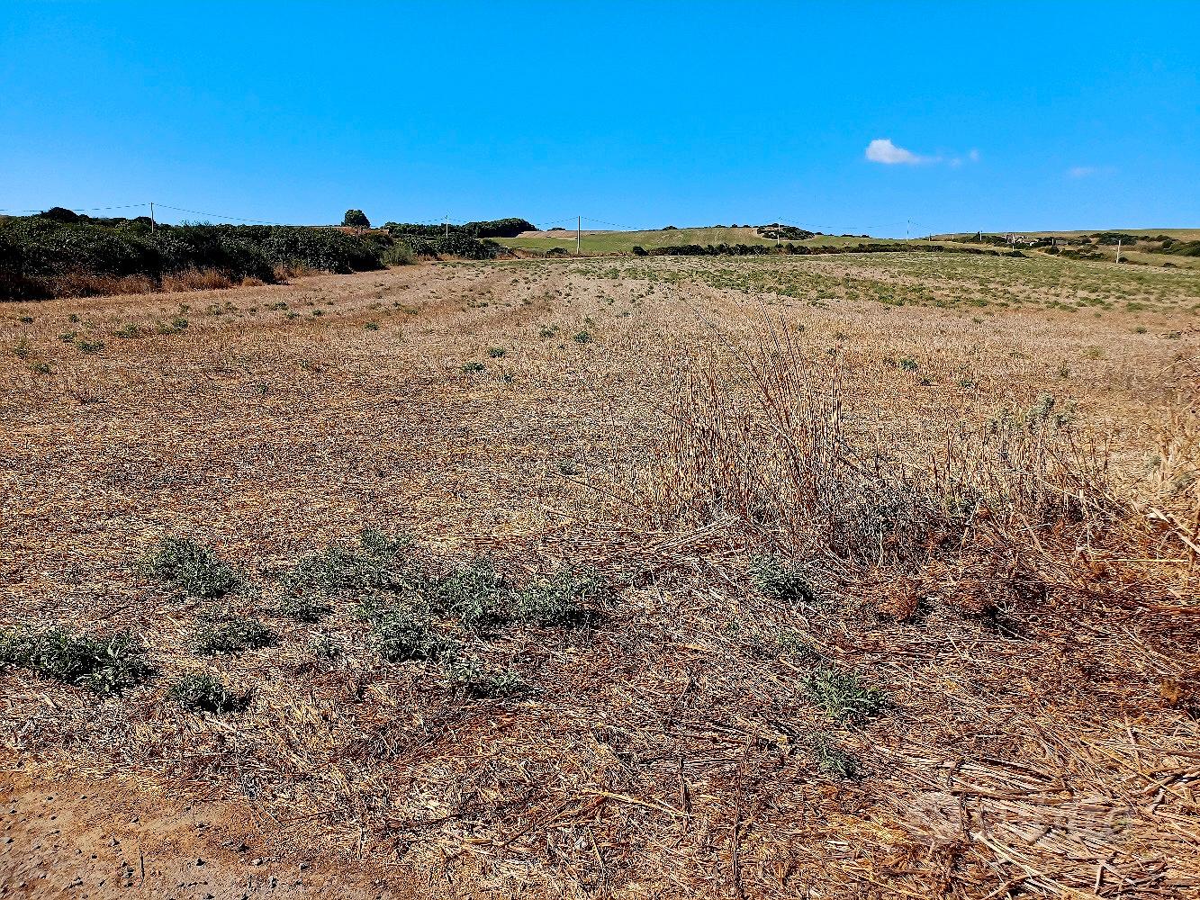 Terreno agricolo - Vista 4