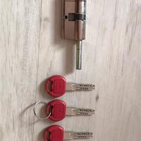 Serratura cilindro cisa porta blindata