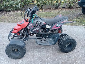 Mini quad