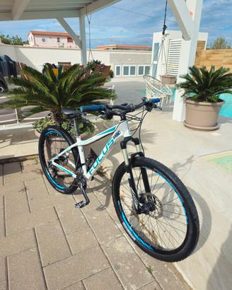 mountain bike focus