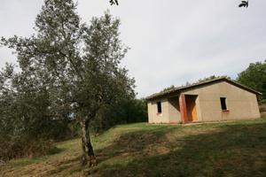CS208 - Monte San Savino casa singola al g