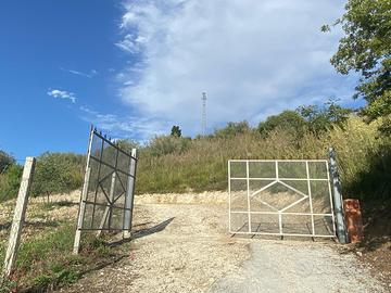 Ampio terreno agricolo