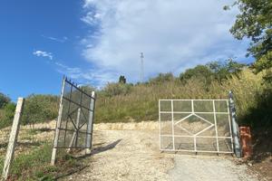 Ampio terreno agricolo