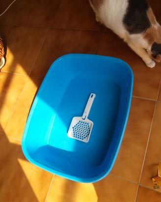 Lettiera toilette blu con paletta